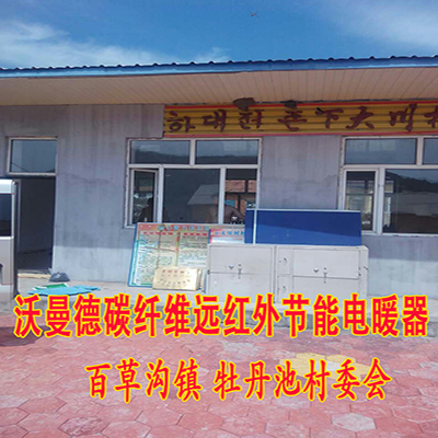 吉林 汪清 村委會